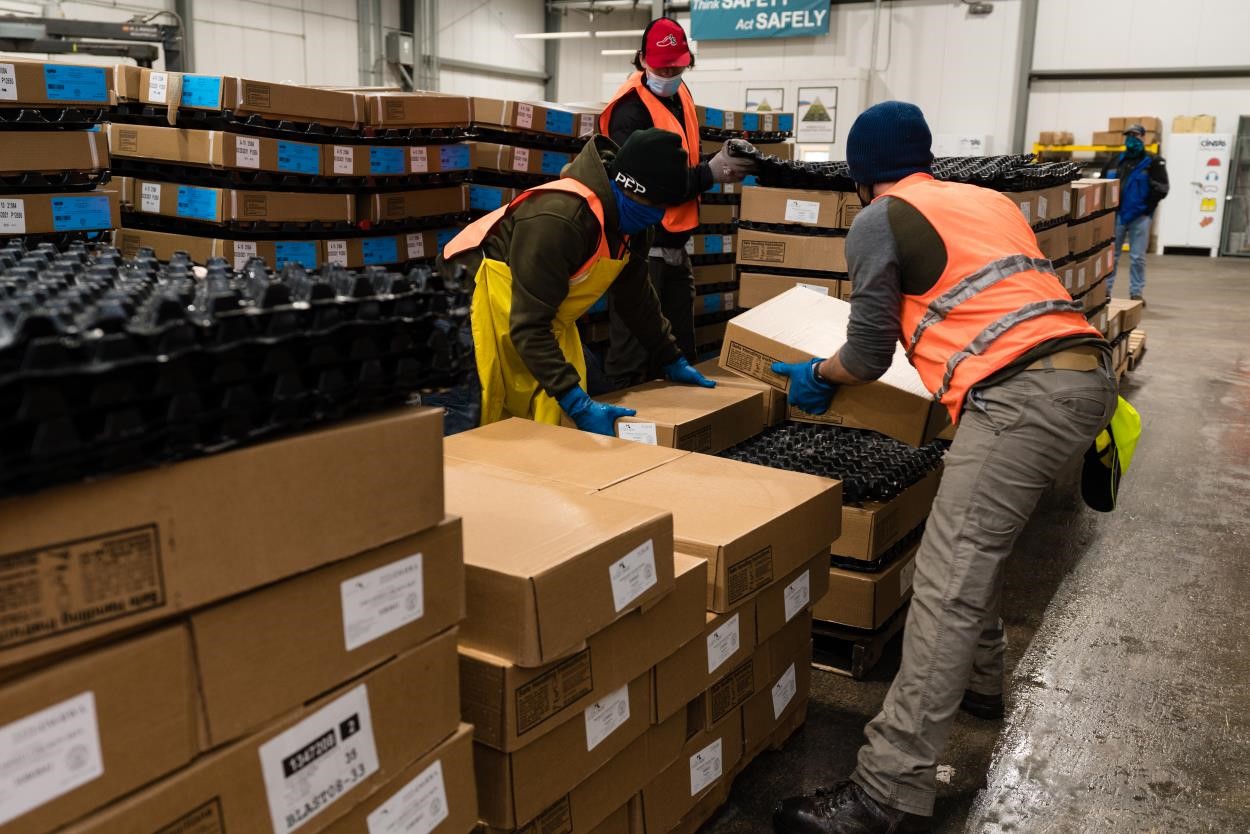 Americold Associates prepare layers of product with spreaders in between to aid in the freezing process